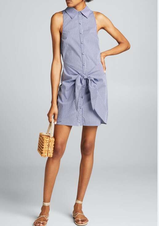 Cinq à Sept Dresses & Skirts - Cinq à Sept Gaby Sleeveless Shirt Dress Front Tie blue gingham 10 med